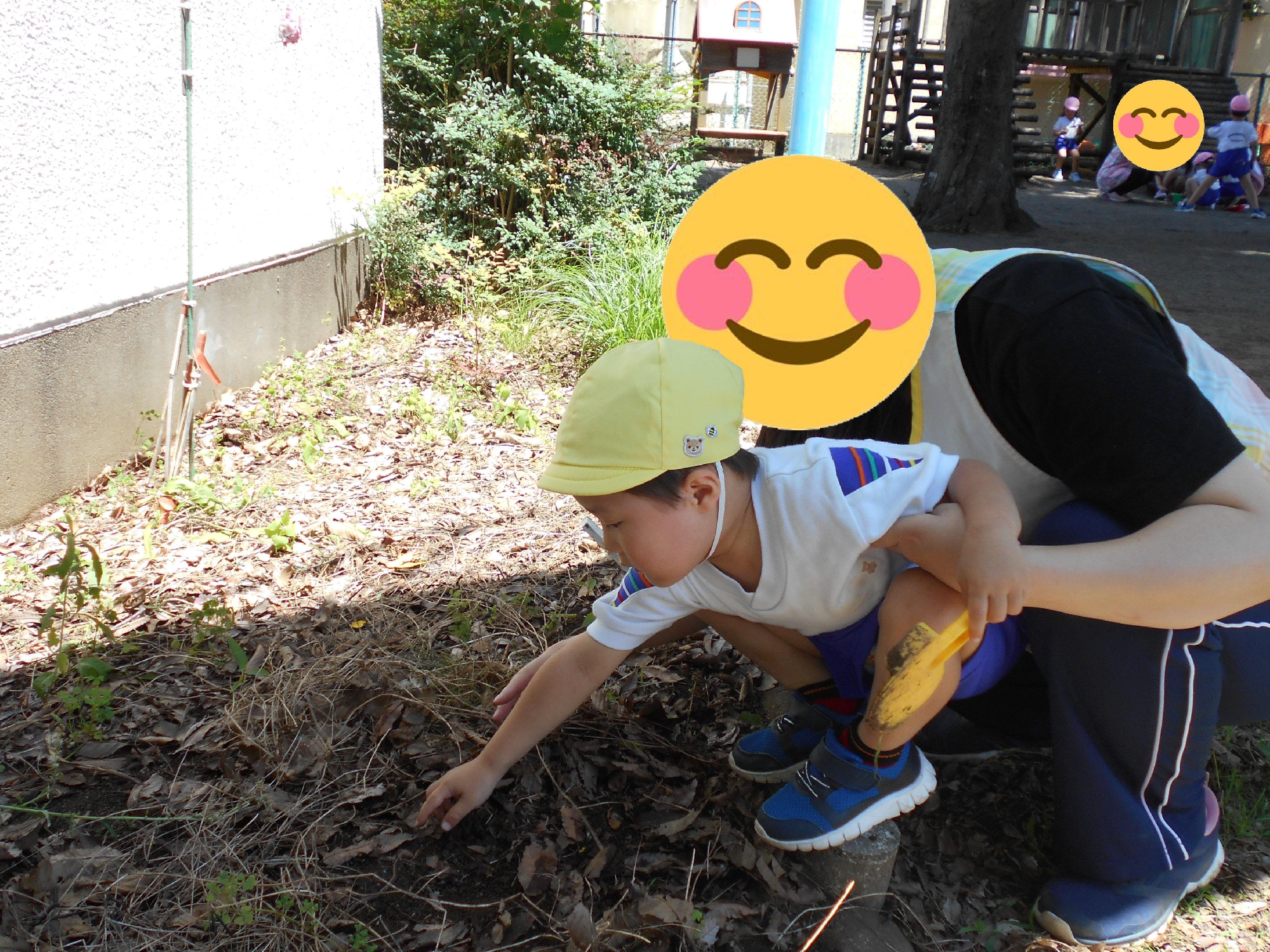 小さな生き物を探してみよう